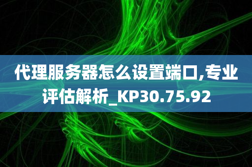 代理服务器怎么设置端口,专业评估解析_KP30.75.92