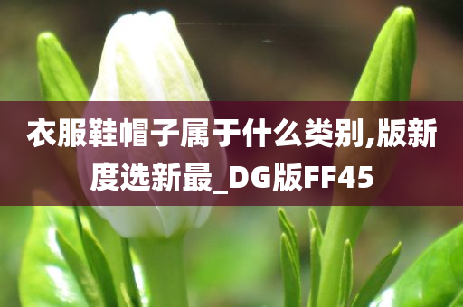 衣服鞋帽子属于什么类别,版新度选新最_DG版FF45