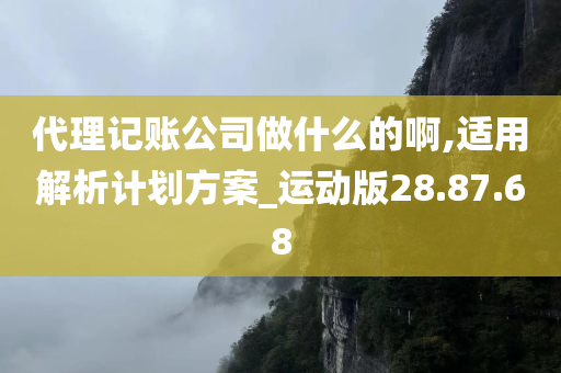 代理记账公司做什么的啊,适用解析计划方案_运动版28.87.68