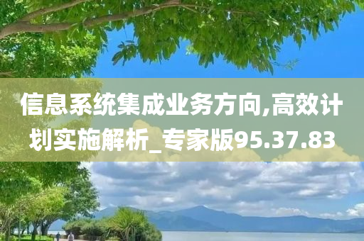 信息系统集成业务方向,高效计划实施解析_专家版95.37.83