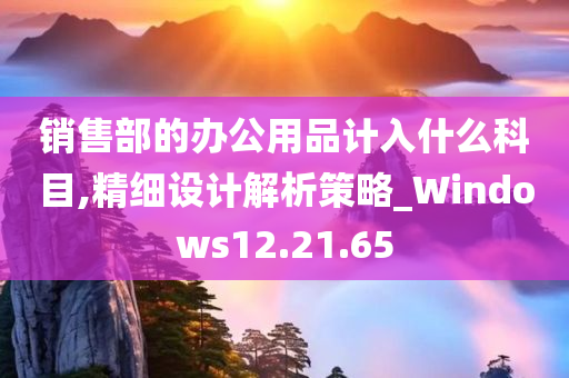 销售部的办公用品计入什么科目,精细设计解析策略_Windows12.21.65