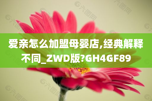 爱亲怎么加盟母婴店,经典解释不同_ZWD版?GH4GF89