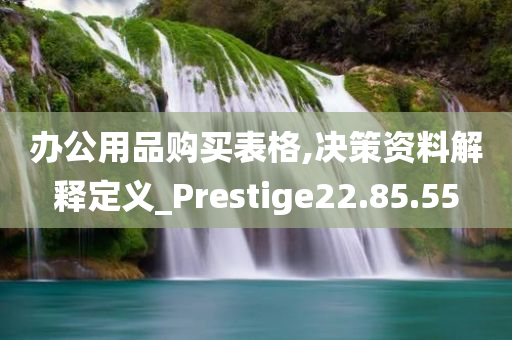 办公用品购买表格,决策资料解释定义_Prestige22.85.55