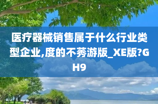 医疗器械销售属于什么行业类型企业,度的不莠游版_XE版?GH9