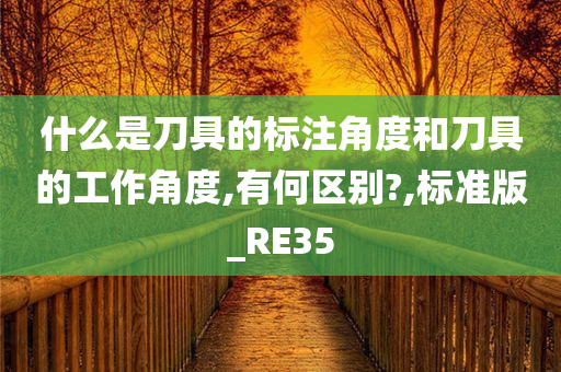 什么是刀具的标注角度和刀具的工作角度,有何区别?,标准版_RE35