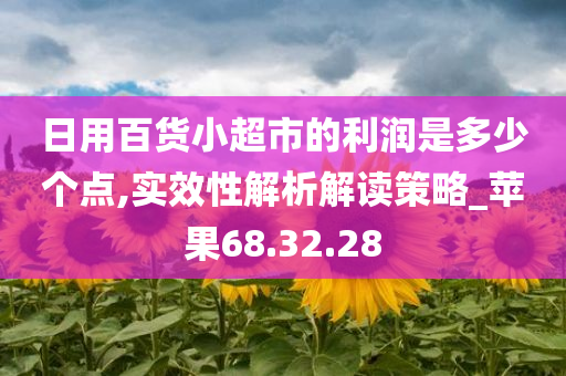 日用百货小超市的利润是多少个点,实效性解析解读策略_苹果68.32.28