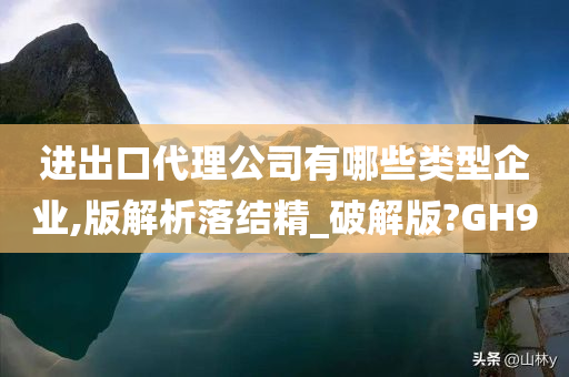 进出口代理公司有哪些类型企业,版解析落结精_破解版?GH9