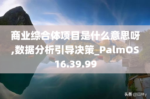 商业综合体项目是什么意思呀,数据分析引导决策_PalmOS16.39.99