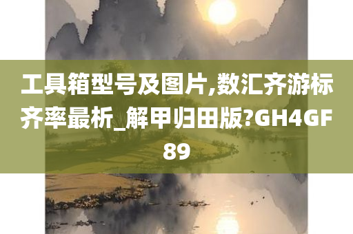 工具箱型号及图片,数汇齐游标齐率最析_解甲归田版?GH4GF89