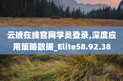 云琥在线官网学员登录,深度应用策略数据_Elite58.92.38