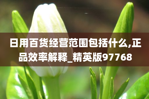 日用百货经营范围包括什么,正品效率解释_精英版97768