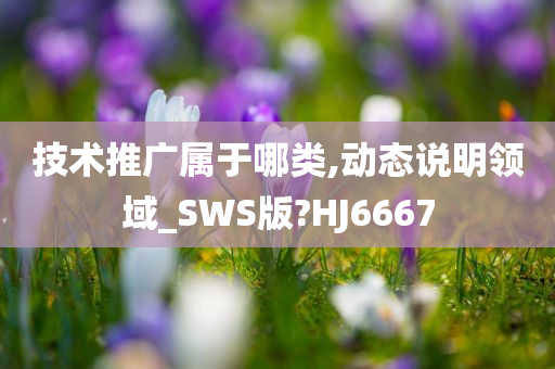 技术推广属于哪类,动态说明领域_SWS版?HJ6667