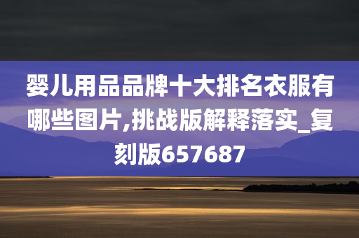 婴儿用品品牌十大排名衣服有哪些图片,挑战版解释落实_复刻版657687