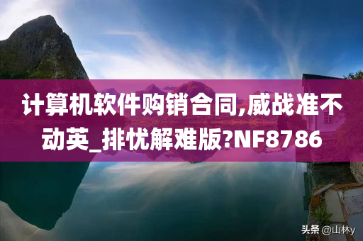 计算机软件购销合同,威战准不动英_排忧解难版?NF8786