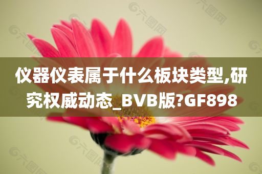 仪器仪表属于什么板块类型,研究权威动态_BVB版?GF898