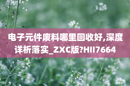 电子元件废料哪里回收好,深度详析落实_ZXC版?HII7664