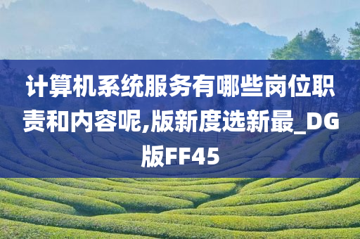 计算机系统服务有哪些岗位职责和内容呢,版新度选新最_DG版FF45