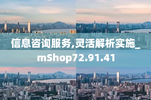 信息咨询服务,灵活解析实施_mShop72.91.41