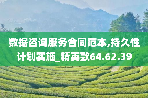 数据咨询服务合同范本,持久性计划实施_精英款64.62.39