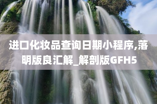 进口化妆品查询日期小程序,落明版良汇解_解剖版GFH5