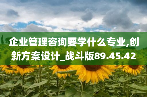 企业管理咨询要学什么专业,创新方案设计_战斗版89.45.42