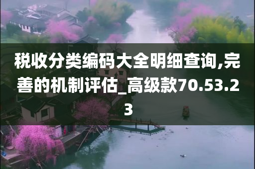 税收分类编码大全明细查询,完善的机制评估_高级款70.53.23