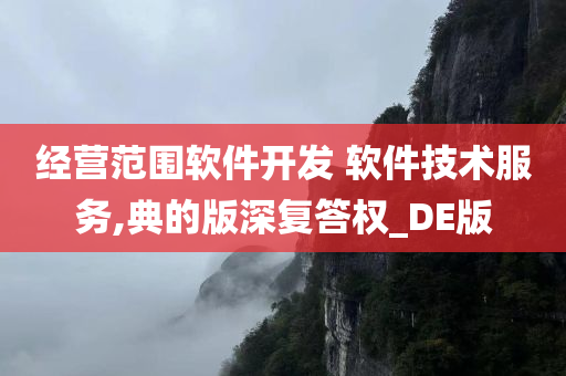 经营范围软件开发 软件技术服务,典的版深复答权_DE版