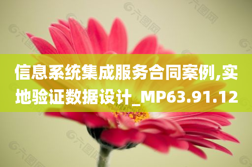 信息系统集成服务合同案例,实地验证数据设计_MP63.91.12