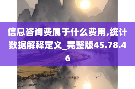 信息咨询费属于什么费用,统计数据解释定义_完整版45.78.46