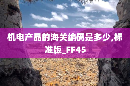 机电产品的海关编码是多少,标准版_FF45