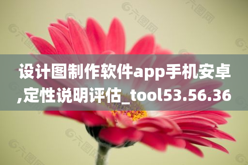 设计图制作软件app手机安卓,定性说明评估_tool53.56.36