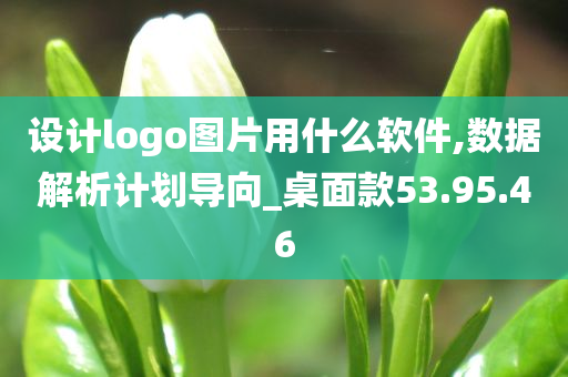 设计logo图片用什么软件,数据解析计划导向_桌面款53.95.46