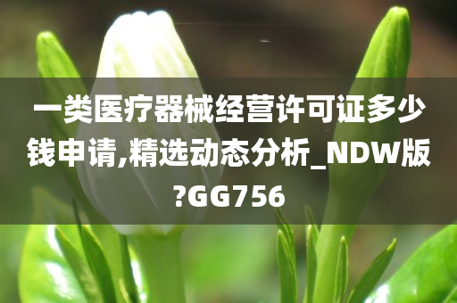 一类医疗器械经营许可证多少钱申请,精选动态分析_NDW版?GG756