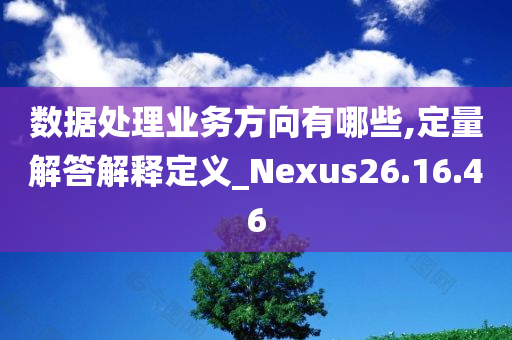 数据处理业务方向有哪些,定量解答解释定义_Nexus26.16.46