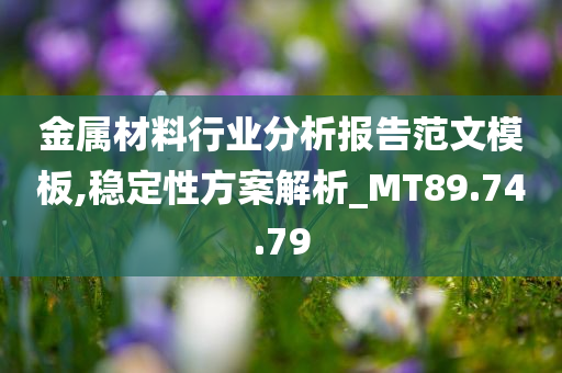 金属材料行业分析报告范文模板,稳定性方案解析_MT89.74.79