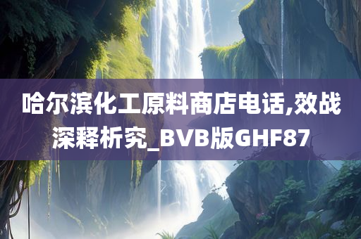 哈尔滨化工原料商店电话,效战深释析究_BVB版GHF87