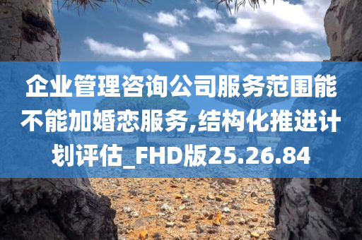 企业管理咨询公司服务范围能不能加婚恋服务,结构化推进计划评估_FHD版25.26.84