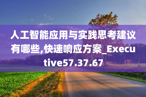 人工智能应用与实践思考建议有哪些,快速响应方案_Executive57.37.67