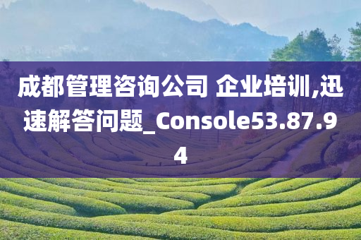 成都管理咨询公司 企业培训,迅速解答问题_Console53.87.94