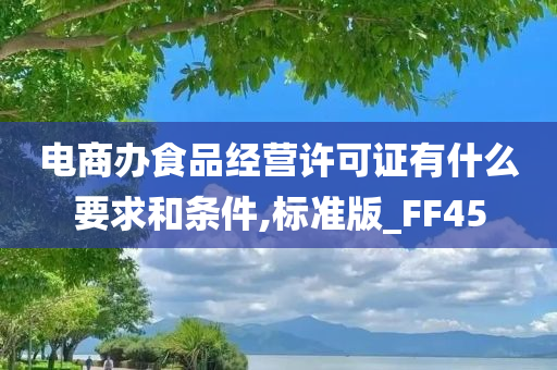 电商办食品经营许可证有什么要求和条件,标准版_FF45