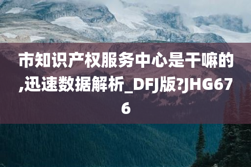 市知识产权服务中心是干嘛的,迅速数据解析_DFJ版?JHG676