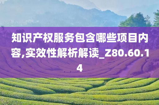 知识产权服务包含哪些项目内容,实效性解析解读_Z80.60.14