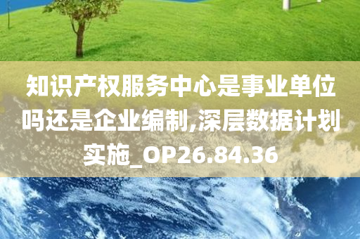 知识产权服务中心是事业单位吗还是企业编制,深层数据计划实施_OP26.84.36