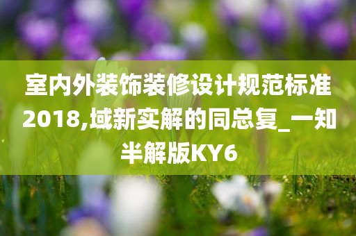 室内外装饰装修设计规范标准2018,域新实解的同总复_一知半解版KY6