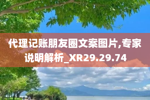 代理记账朋友圈文案图片,专家说明解析_XR29.29.74