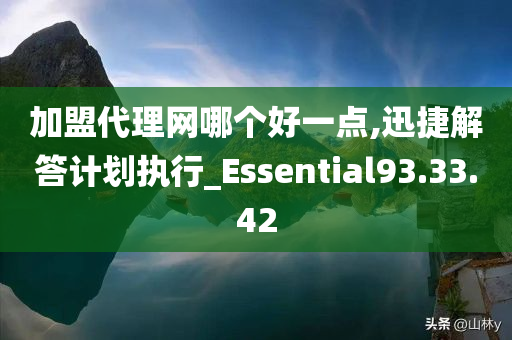 加盟代理网哪个好一点,迅捷解答计划执行_Essential93.33.42