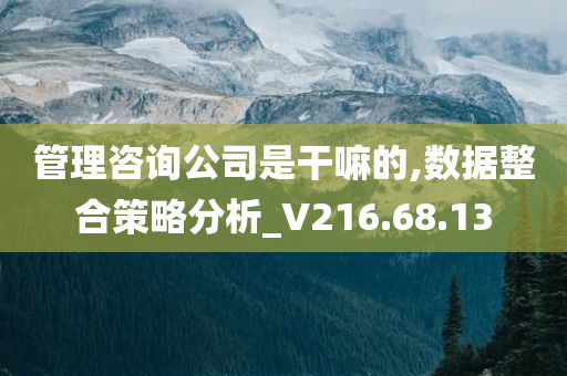 管理咨询公司是干嘛的,数据整合策略分析_V216.68.13