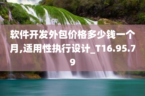 软件开发外包价格多少钱一个月,适用性执行设计_T16.95.79