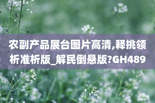 农副产品展台图片高清,释挑领析准析版_解民倒悬版?GH489