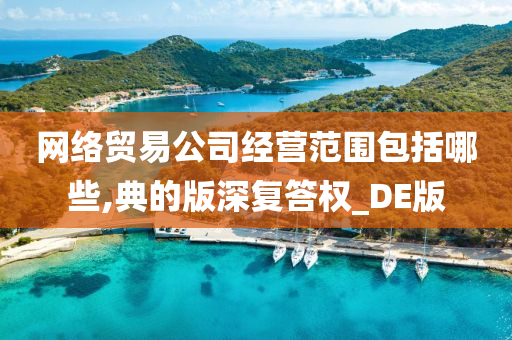 网络贸易公司经营范围包括哪些,典的版深复答权_DE版